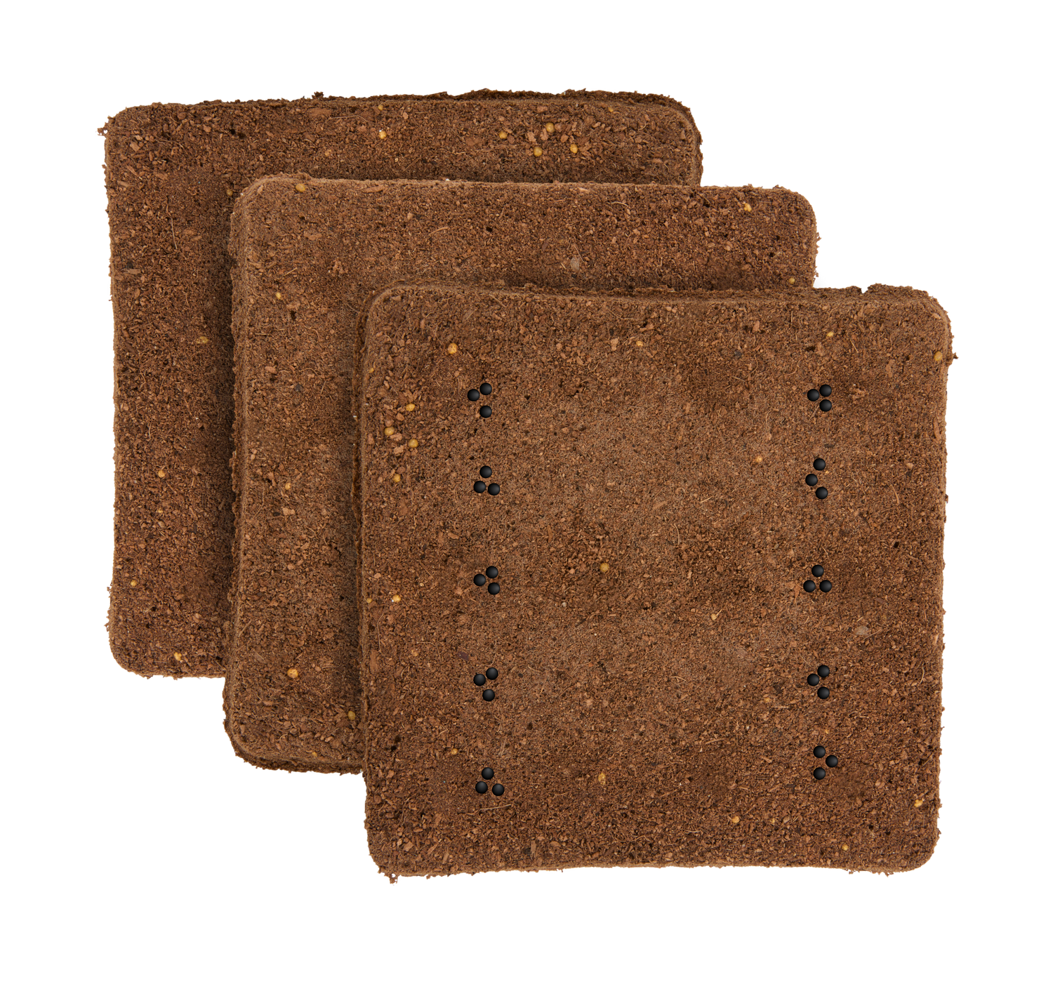 Parsley 3-Pack for Roto Farm