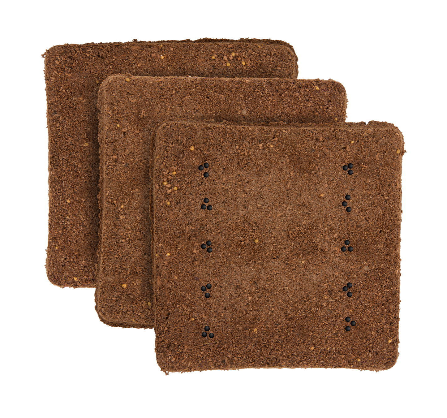 Thai Basil 3-Pack for Roto Farm